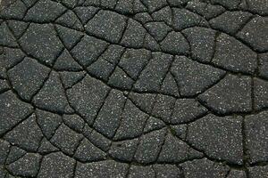 un' Rete di nero crepe su il asfalto superficie. strada struttura con Esposto alle intemperie superficie, in mostra il effetti di tempo e indossare. foto