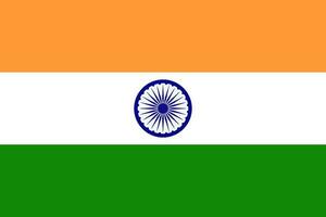 il ufficiale attuale bandiera di il repubblica di India. stato bandiera di il repubblica di India. illustrazione. foto