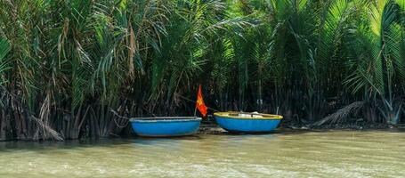 Noce di cocco fiume foresta con cestino Barche, un' unico vietnamita a Camera grazie villaggio. punto di riferimento e popolare per turisti attrazioni nel Hoi un. Vietnam e sud-est Asia viaggio concetti foto