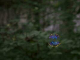 colorato arcobaleno sapone bolla su il sfondo di verde alberi al di fuori foto