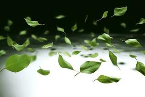 verde basilico le foglie con ritaglio percorsi, pieno profondità di campo. fresco rosso basilico erba le foglie isolato su bianca sfondo. viola buio opale basilico. messa a fuoco accatastamento, creare ai foto