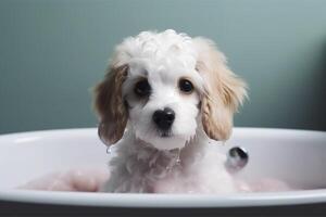 carino cucciolo cane nel vasca da bagno , animali domestici pulizia , generativo ai foto