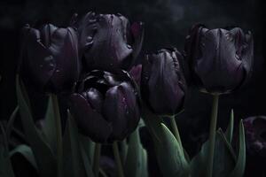 nero tulipani su nero sfondo. minimalista contemporaneo mazzo di elegante primavera fiori. ai generato Immagine. foto