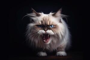 ritratto di un' bellissimo bambola di pezza gatto con blu occhi su un' nero sfondo. generativo ai foto