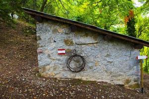 capannone nel bosco foto