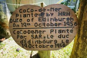 mahe Seychelles 25.06.2023 cocco de mer albero piantato di il eh duca di edingurgh su 19 ottobre 1956, dentro il botanico giardino, mahe Seychelles foto