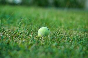 tennis palla nel alto erbe su il golf Tribunale, mahe Seychelles foto