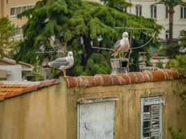 cannes in francia foto