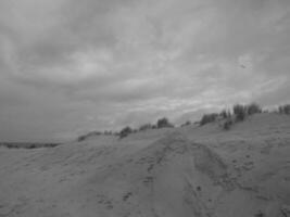 isola di borkum in germania foto