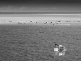 isola di borkum in germania foto