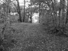 il Tedesco isola spiekeroog foto