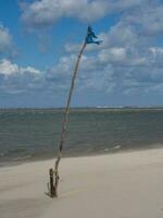 il isola spiekeroog nel Germania foto