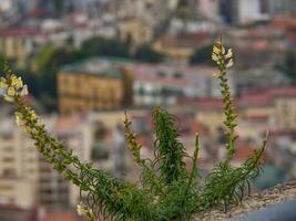 il città di Napoli nel Italia foto