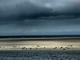 borkum isola nel il nord mare foto