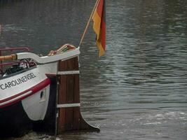 carolinesello a il nord mare nel Germania foto