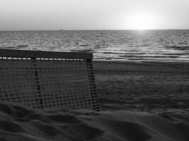 de haan a il nord mare nel Belgio foto