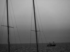 de haan a il nord mare nel Belgio foto