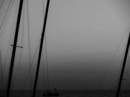 de haan a il nord mare nel Belgio foto