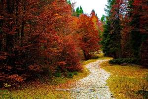 autunno ad asiago foto