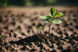 piantare albero con fertile suolo. verde mondo e terra giorno concetto sfondo fatto con generativo ai foto