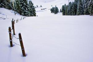 paesaggio invernale innevato foto