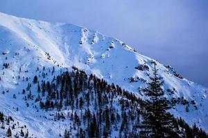 montagna innevata e pini foto