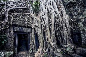 tempio di angkor a siem reap cambogia foto