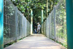 bandung - Maggio 2023 il collegamento ponte per attraversare il curug omas fiume quale può ancora essere Usato foto