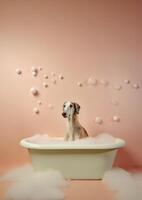 carino borzoi cane nel un' piccolo vasca da bagno con sapone schiuma e bolle, carino pastello colori, generativo ai. foto