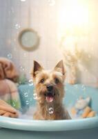 carino tumulo terrier cane nel un' piccolo vasca da bagno con sapone schiuma e bolle, carino pastello colori, generativo ai. foto