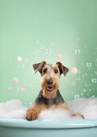 carino airedale terrier cane nel un' piccolo vasca da bagno con sapone schiuma e bolle, carino pastello colori, generativo ai. foto