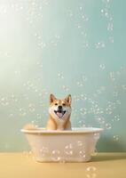 carino shiba inu cane nel un' piccolo vasca da bagno con sapone schiuma e bolle, carino pastello colori, generativo ai. foto