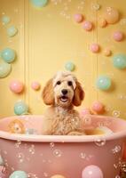 carino d'oro scarabocchio cane nel un' piccolo vasca da bagno con sapone schiuma e bolle, carino pastello colori, generativo ai. foto