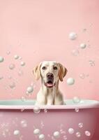 carino labrador cane da riporto cane nel un' piccolo vasca da bagno con sapone schiuma e bolle, carino pastello colori, generativo ai. foto