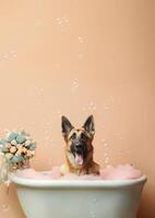 carino belga pastore cane nel un' piccolo vasca da bagno con sapone schiuma e bolle, carino pastello colori, generativo ai. foto