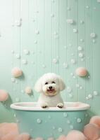 carino bichon frise cane nel un' piccolo vasca da bagno con sapone schiuma e bolle, carino pastello colori, generativo ai. foto