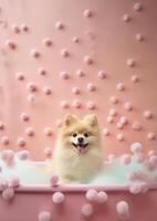 carino volpino cane nel un' piccolo vasca da bagno con sapone schiuma e bolle, carino pastello colori, generativo ai. foto