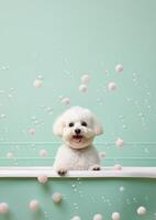 carino bichon frise cane nel un' piccolo vasca da bagno con sapone schiuma e bolle, carino pastello colori, generativo ai. foto