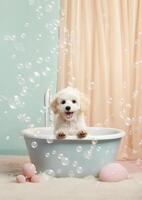 carino maltipoo cane nel un' piccolo vasca da bagno con sapone schiuma e bolle, carino pastello colori, generativo ai. foto