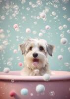 carino havanese cane nel un' piccolo vasca da bagno con sapone schiuma e bolle, carino pastello colori, generativo ai. foto