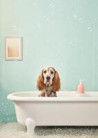 carino inglese cocker spaniel cane nel un' piccolo vasca da bagno con sapone schiuma e bolle, carino pastello colori, generativo ai. foto