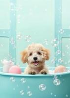 carino maltipoo cane nel un' piccolo vasca da bagno con sapone schiuma e bolle, carino pastello colori, generativo ai. foto