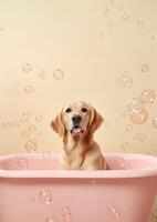 carino d'oro cane da riporto cane nel un' piccolo vasca da bagno con sapone schiuma e bolle, carino pastello colori, generativo ai. foto