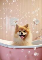 carino volpino cane nel un' piccolo vasca da bagno con sapone schiuma e bolle, carino pastello colori, generativo ai. foto