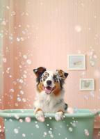 carino australiano pastore cane nel un' piccolo vasca da bagno con sapone schiuma e bolle, carino pastello colori, generativo ai. foto
