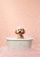 carino barboncino cane nel un' piccolo vasca da bagno con sapone schiuma e bolle, carino pastello colori, generativo ai. foto