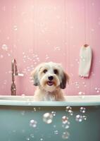 carino havanese cane nel un' piccolo vasca da bagno con sapone schiuma e bolle, carino pastello colori, generativo ai. foto