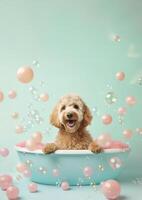 carino d'oro scarabocchio cane nel un' piccolo vasca da bagno con sapone schiuma e bolle, carino pastello colori, generativo ai. foto