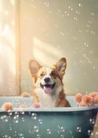 carino pembroke gallese corgi cane nel un' piccolo vasca da bagno con sapone schiuma e bolle, carino pastello colori, generativo ai. foto