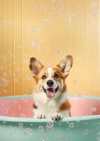 carino pembroke gallese corgi cane nel un' piccolo vasca da bagno con sapone schiuma e bolle, carino pastello colori, generativo ai. foto